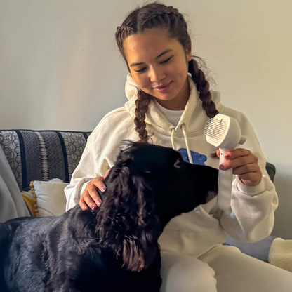 Pälsborsten - Bada Din Hund Utan Vatten