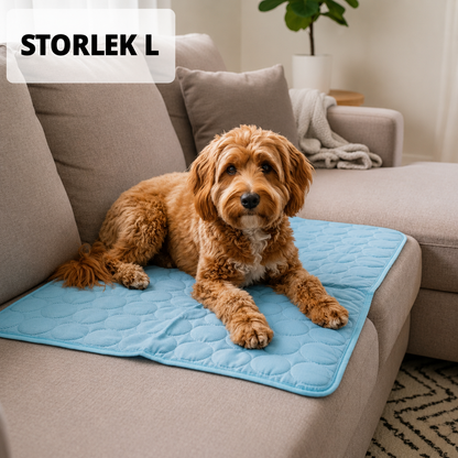 ArticPaw™ - Hund kylmatta