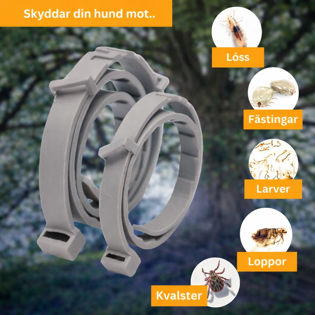 Fästingshalsband för Hund